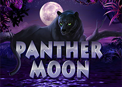 Panther Moon