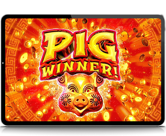 Pig Winner